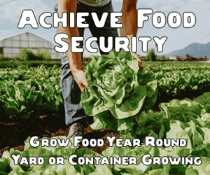 Achieve Food security